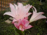 DSCN5832.JPG