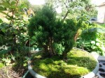 DSCF4803.JPG