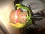 IMG-20150123-00101.jpg