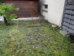 Contre l'abri et le mur du voisin, les framboisiers