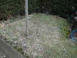 Près de la terrasse, les fraisiers, et l'érable