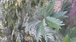 20150124_102129 compresss.jpg