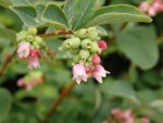 P7140854-2.jpg