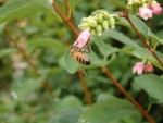 P7140857-2.jpg