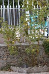 L IMG_4999_v1-1.jpeg