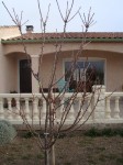 DSC01590-2.JPG