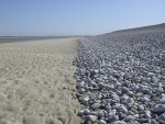 CIMG0142V1.jpg