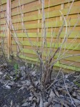 DSC01570.JPG