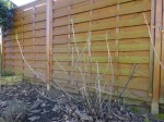 DSC01568.JPG