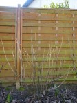 DSC01567.JPG