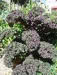 24.08.2008 025.jpg