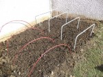Je ne disposait pas de vrais arceaux pour confectionner un mini tunnel,j'ai donc utilisé ce que j'avait sous la main c'est à dire des branche et du tube en ferraille.
