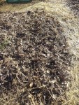 Voici l'emplacement ou j'ai bien envie de planter quelques pomme de terre primeur(ce que je n'avait pas prévu cette année) dans quelques jours ou dizaine de jours suivant la météo.<br />Pour cela il à fallu prendre quelques minutes pour préparer le terrain.