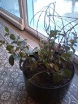 2015-02-20 17.13.20.jpg