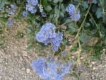 DSC01602.JPG