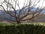 IMG_0209.jpg