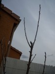 P1060016.JPG