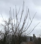 détail 2.jpg