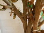 DSCN7229.JPG