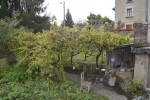 La vigne au mois de septembre
