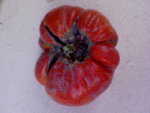 DSC00017.JPG