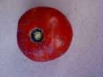 DSC00018.JPG