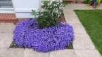 P1000416V1.jpg