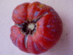 DSC00020.JPG