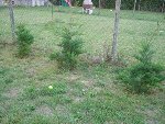P1020060.JPG