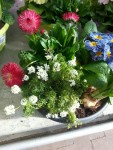 20150306_112213.jpeg