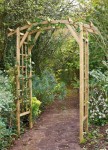 pergola en pin.jpg