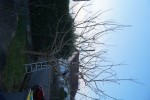 DSC04348.jpeg