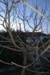 DSC04352.jpeg
