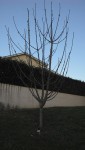 IMG_20150312_183711_535.jpg