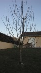 IMG_20150312_183722_560.jpg