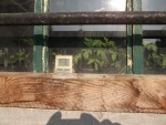 DSCF2029.jpg