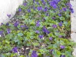 DSCN5979.JPG