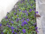 DSCN5980.JPG
