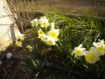 DSCN5982.JPG