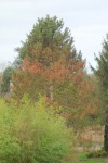 DSC04506.JPG