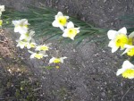 DSCN5983.JPG