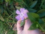 20150316_180049.jpg