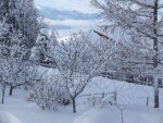 * Mon jardin, 6 mois par an