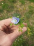 20150318_134954.jpg