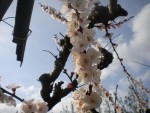 DSCN5995.JPG