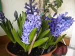 DSCN5999.JPG
