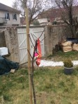 IMG_0193.JPG