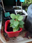2015-01-17_16-48-21.jpg
