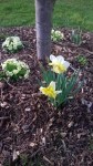 WP_20150327_005.jpg