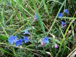 DSC08079.JPG